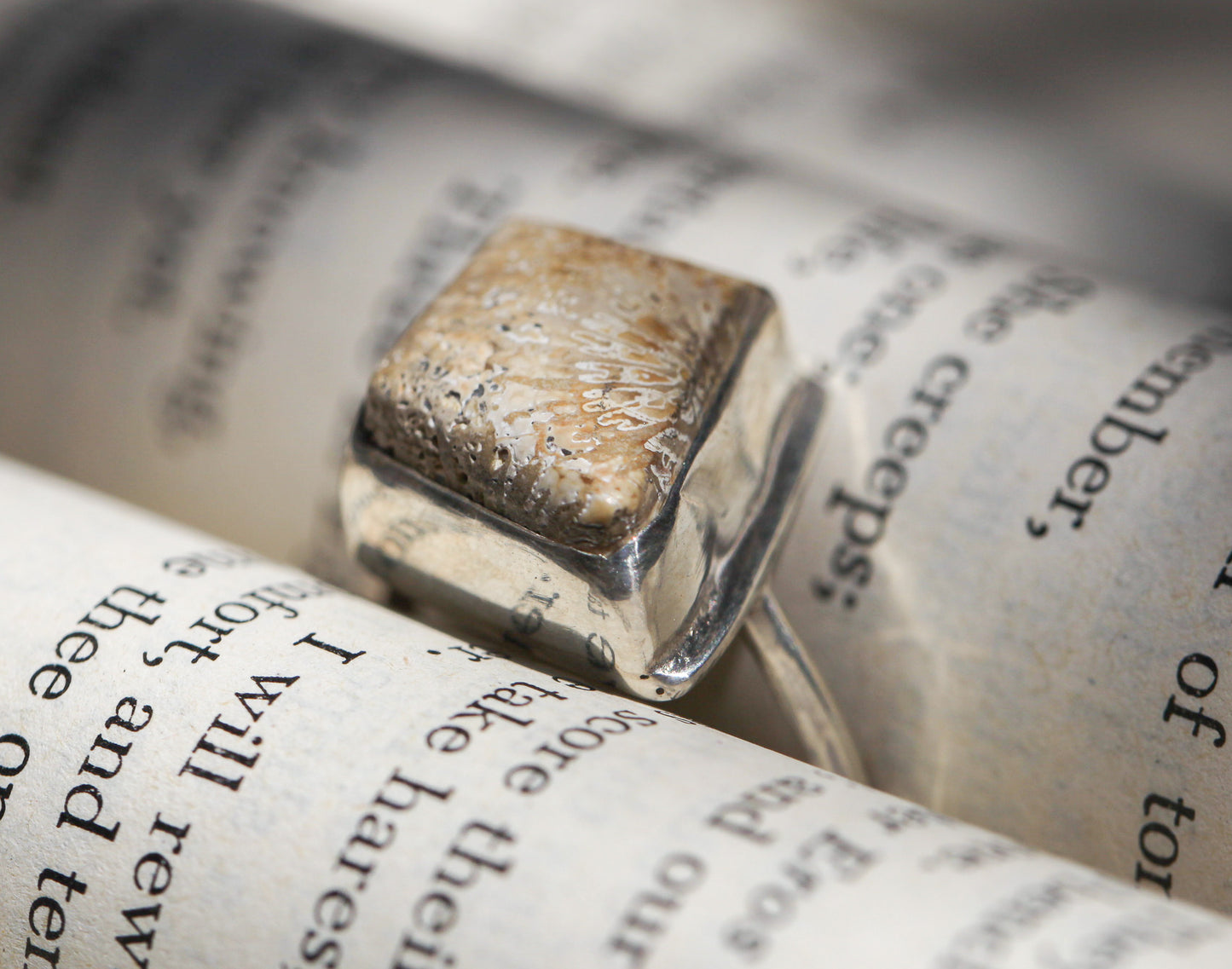 Fossilized Coral Ring - Size 7.25