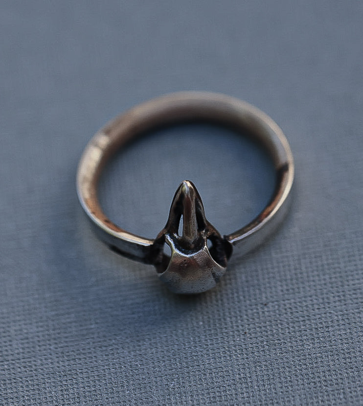 Mini Crow Skull Ring (sz 6)