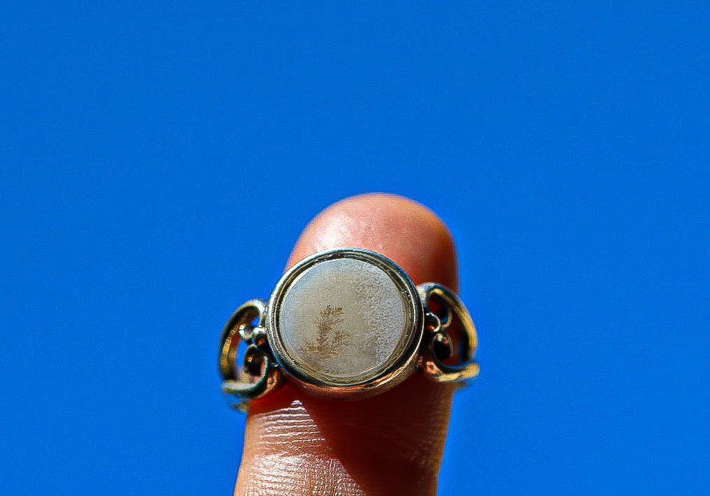 Dendritic Agate Ring (sz 7)