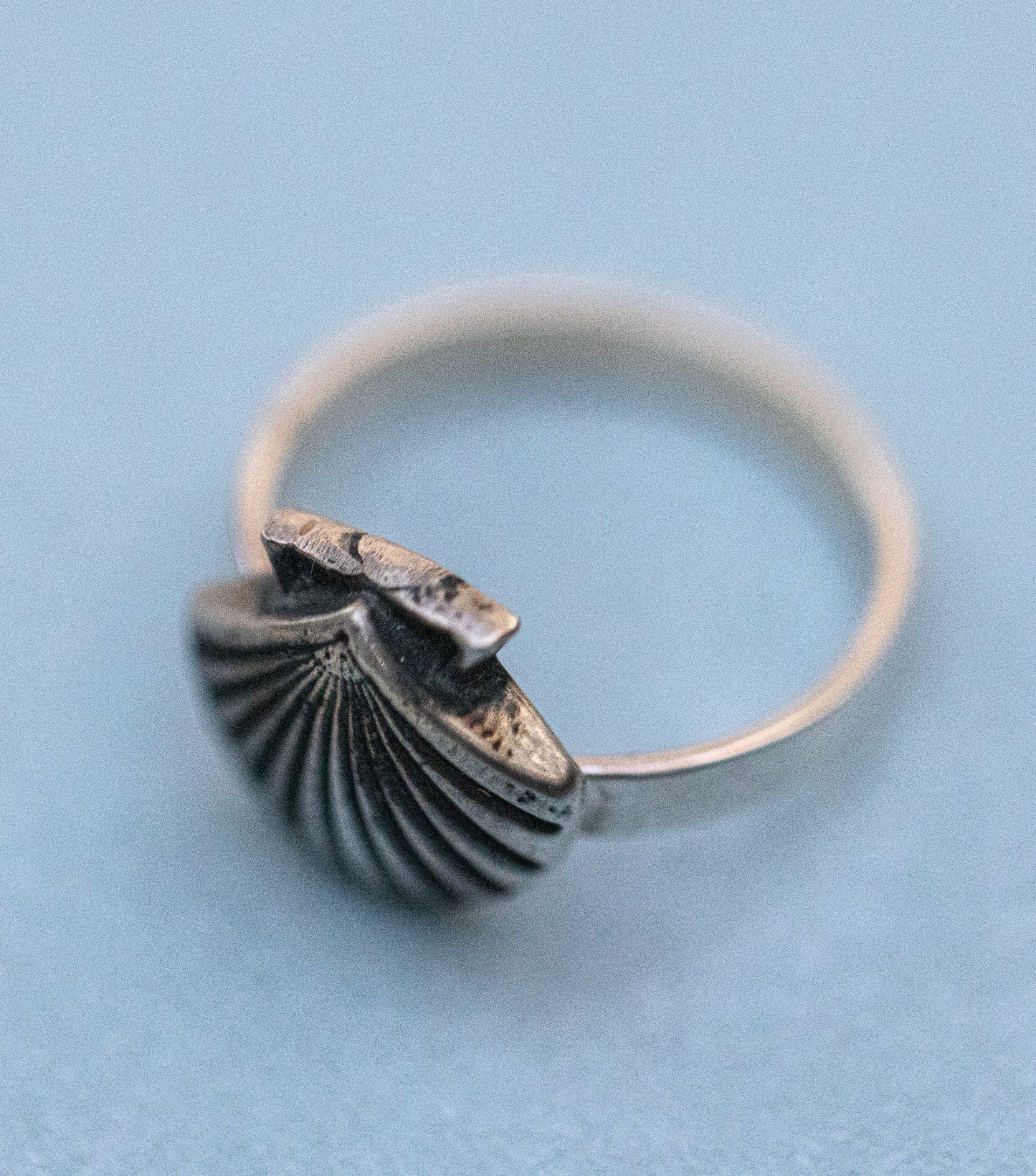 Seashell Ring (sz 8.5)