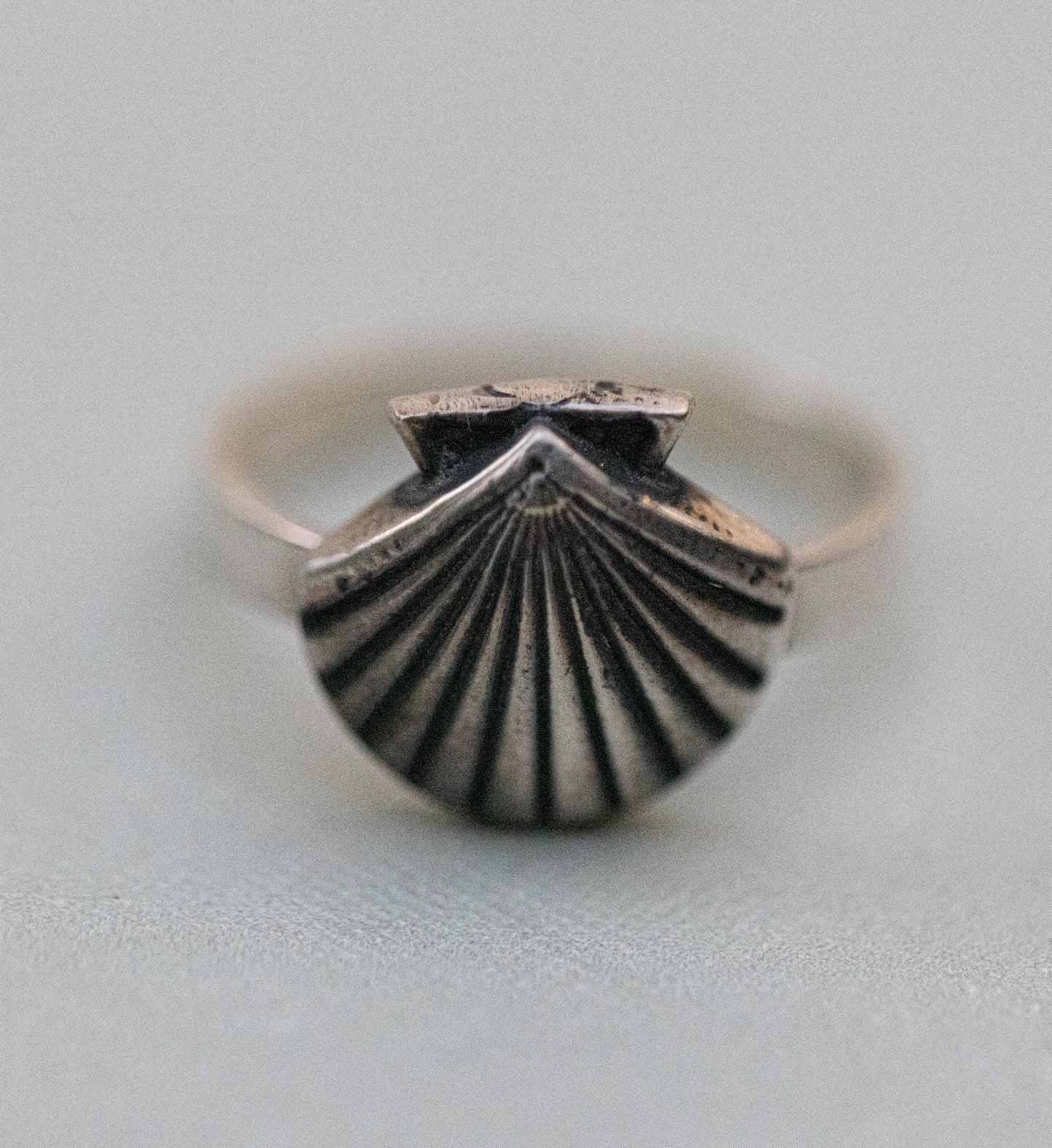 Seashell Ring (sz 8.5)