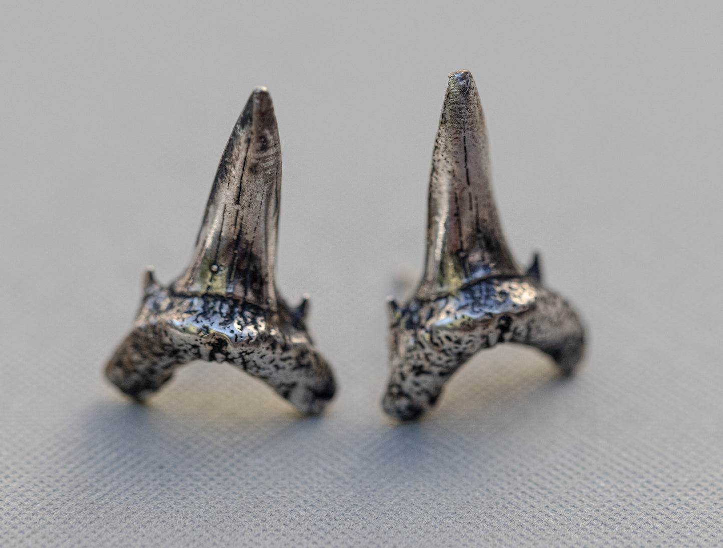 Shark Teeth Stud Earrings