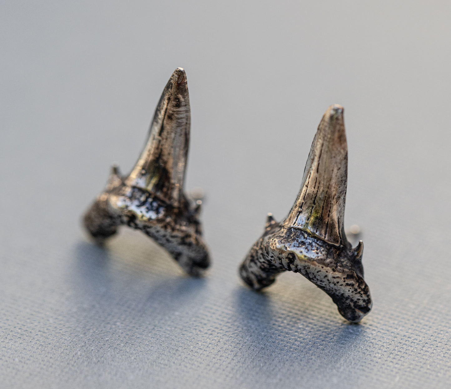 Shark Teeth Stud Earrings