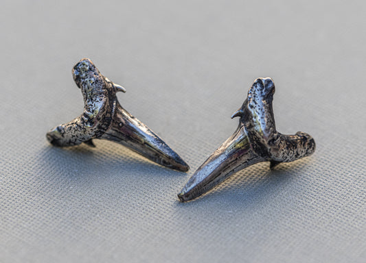 Shark Teeth Stud Earrings