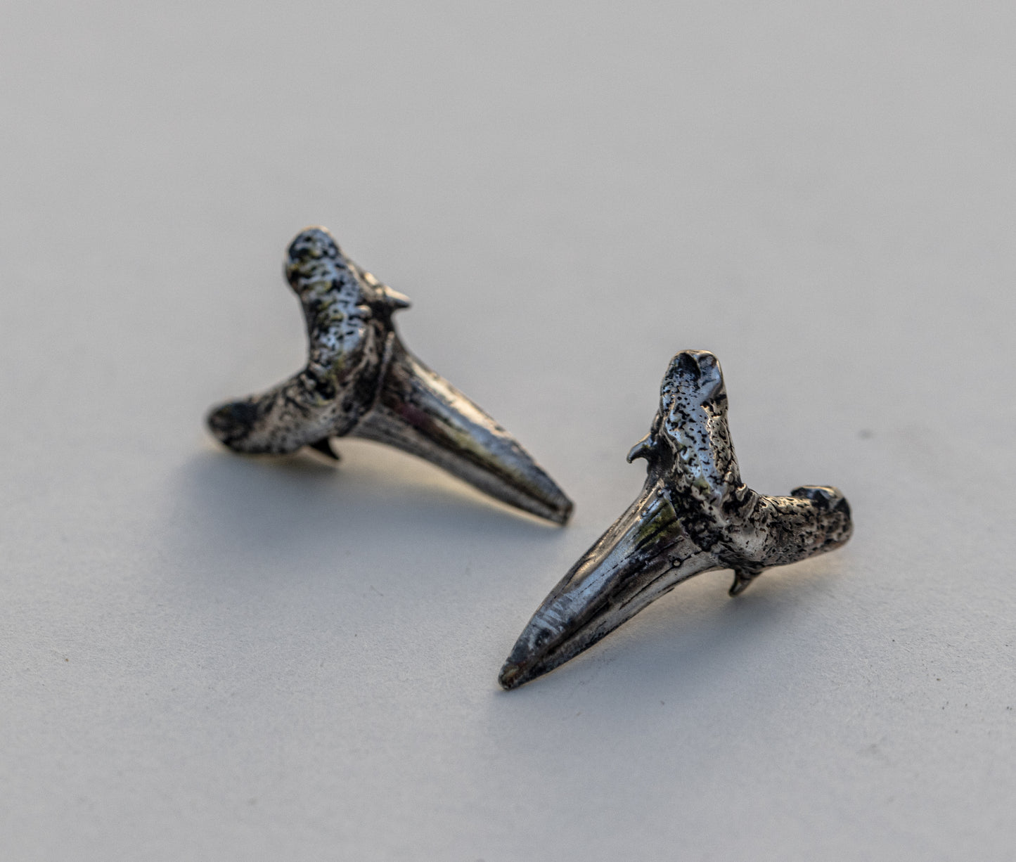 Shark Teeth Stud Earrings