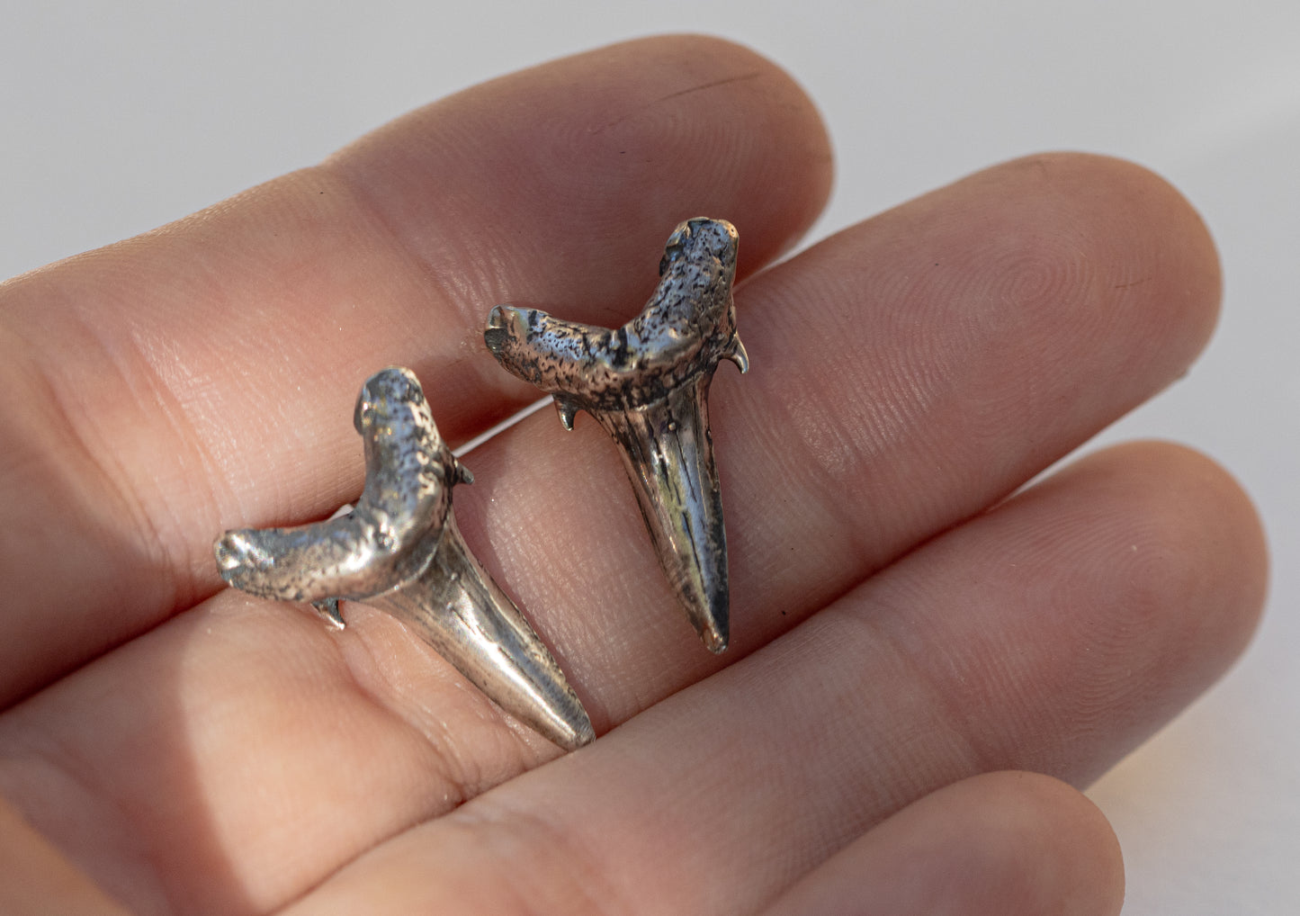 Shark Teeth Stud Earrings