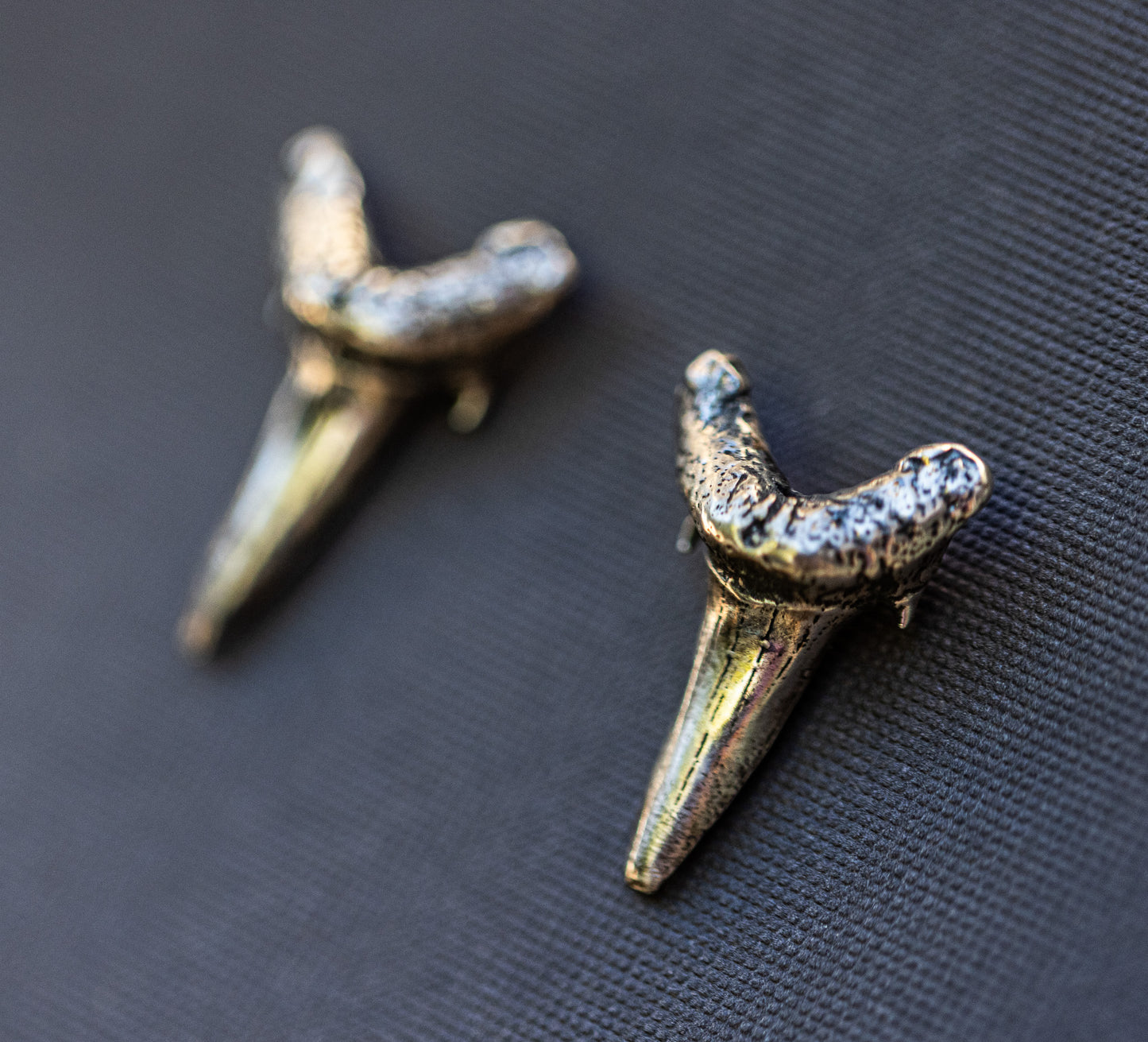 Shark Teeth Stud Earrings